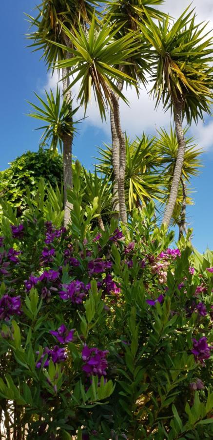 Villa Quinta Da Violeta *